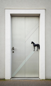 minimalist door with a horse pattern