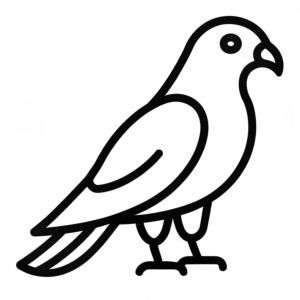 Draw a simple outline of a cute hawk, side view, in black pencil on a white background. Make it cartoony, with very few lines.