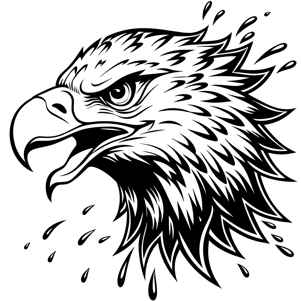 A eagle head with splash 