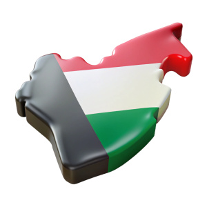 uae map 3d, colored with uae flag colors