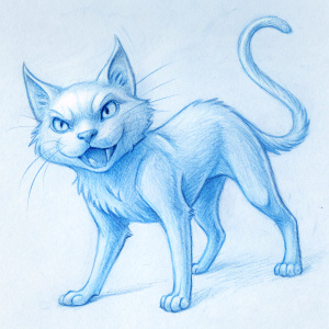 agressive cat