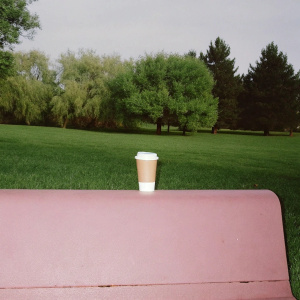 A Starbucks coffee cup in a bench park. 