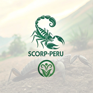 Creative design for Scorp-Peru brand. Logo and name variations in consistent green palette. Stylized creature logo, prominent brand name, modern clean design, typography focus, simple visuals.