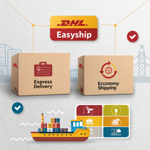 Infographic detailing DHL EasyShip services. Multiple boxes and labels showcasing various shipping options.