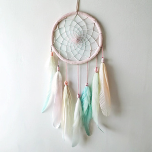 simple hanging circle pastel dream catcher with some ribbons and feathers on white background front view