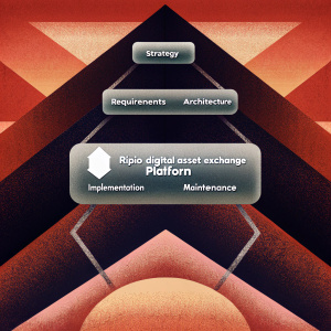 Ripio digital asset exchange platform diagram. Clear and organized design featuring process flow from concept to deployment including Strategy, Requirements, Architecture, Implementation, and Maintenance phases.