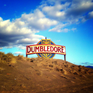 Dumbledore's crest, vibrant and adventurous. Set against a sleek, black backdrop, the emblem stands out with bold, gold lettering.