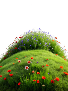 hill planted with flowers poppies, grass, forget-me-nots on a white background