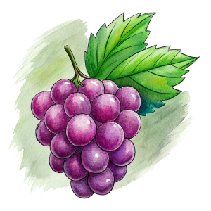 grape