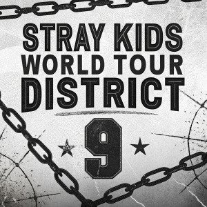 STRAY KIDS World Tour District 9 promotional poster. Black and white, gritty aesthetic. Chain-link motif, bold text, grunge textures, intricate design.