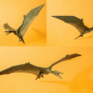 High-definition renderings of Pteronodon, an ancient flying beast. Various poses with elongated wings and sharp beak. Textured skin in 3D model. Plain white background