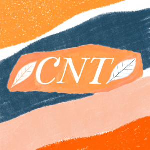 CNT's visual identity features a sleek logo with the brand's initials alongside a leaf icon. The design is adaptable, appearing on various backgrounds and color schemes, predominantly orange and brown, creating a modern and memorable appearance.