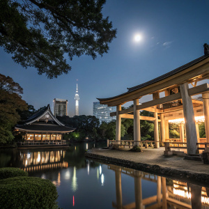 In the bustling heart of Tokyo after dusk, the majestic Meiji Shrine stands tall. Glowing softly under the moonlight, it casts an ethereal glow that dances upon the serene waters of the nearby pond, mirroring its intricate wooden structure and towering torii gates in the gentle ripples. The shrine's presence is awe-inspiring, its beauty enhanced by the distant lights of the city skyline.