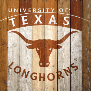 Digital illustration of the University of Texas Longhorns logo. The logo features a stylized, brown horned steer head with spreading horns against a rustic wooden background. The background is composed of weathered planks with warm earthy tones and a graphic design style.