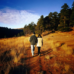 Miguel Angel Silvestre and Maria Lidon, walking through a serene forest. Silvestre in casual wear, Lidon in a cozy sweater. Background: dense trees and a clear blue sky.