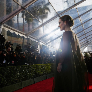 Natalie Portman at award show. Side profile. Dark, sophisticated gown. Red carpet bustling with photographers and fans.