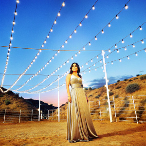 Salma Hayek, in a stunning golden dress, attends a gala. The backdrop features twinkling lights and the Hollywood sign.