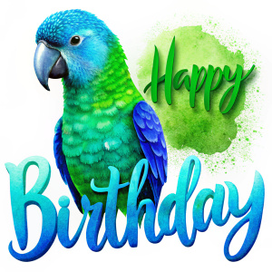 Happy birthday  blue and parrot colour isolated on white background