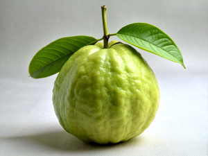 Guava, Fruit