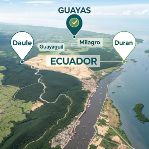 Interactive map highlighting Daule, Guayaquil, Milagro, and Duran within the Guayas region of Ecuador.
