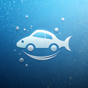 Fish fluttering in the water of a car wash minimal