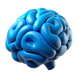 cerebro