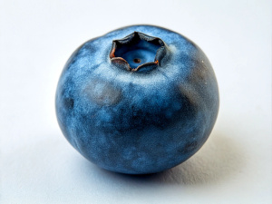 Blueberry, Fruit