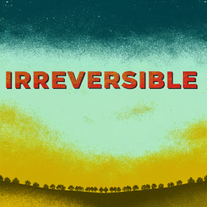 Movie poster for Gaspar Noé's 'Irreversible'. Dark and moody design. Predominantly black background. Title 'Irreversible' in bold, large, and stylized red text.