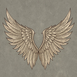  vintage wings hand drawing 