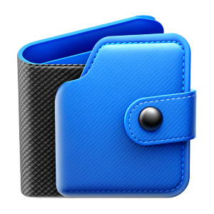 front view wallet icon inspire from Porsche Design Guidelines, Carbon Fiber 