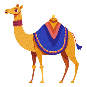 Camel with arabic dress, white background
