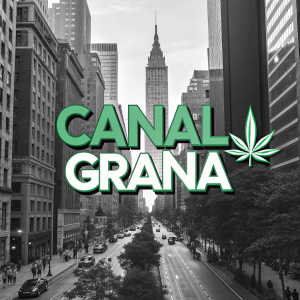 Promotional image for Canal Grana. Black and white theme with green logo. Vibrant cityscape background.