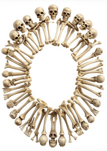 bones forming a hollow circle, transparent background