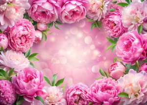 Beautiful floral frame of pink peonies, soft background for Valentine's day in pastel colors