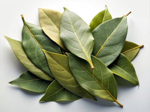 Bay leaves
