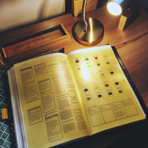 Exploring the Tome of FileMaker Pro 10: unlocking project mastery, asset management, and the secrets to connecting with GraphEast Jordan's experts.