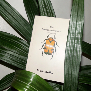 Franz Kafka's book 'The Metamorphosis', cover features a beetle with detailed patterns. Warm orange hues. Neutral backdrop.