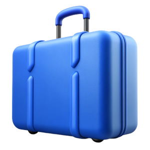 suitcase