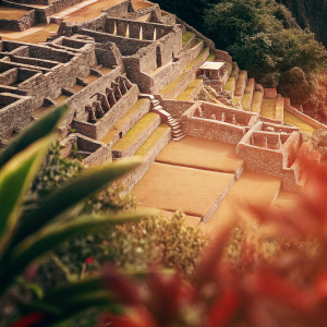 Aerial view of Inca ruins at Machu Picchu. Dense jungle surrounding ancient stone structures