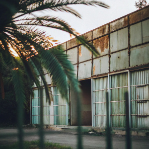 An abandoned building from Hitman 2. Rusty metal and cracked wooden panels. Dusk setting. Warm, golden light. Palm tree shadow