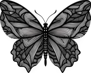 transparent, no background, butterfly, side view, black and white, no grey, line art, full body visible,