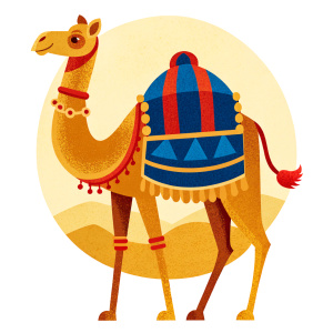 Camel with arabic dress, white background