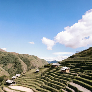 Stunning aerial view of the Batad Rice Terraces in Banaue, Philippines. Rolling green fields carve the steep mountain slopes. Traditional farming techniques evident. Small bamboo huts dot the landscape. Clear blue sky filled with cotton-like clouds.