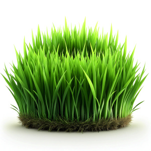 grass