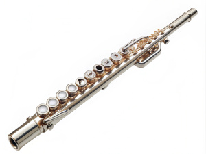 Flute transparent background
