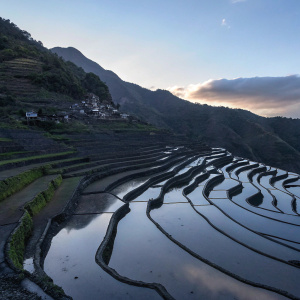 Stunning aerial view of Batad Rice Terraces. Stone walls filled with water, lush greenery, traditional houses scattered along the slopes. Ifugao province, Philippines