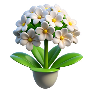 Alyssum white