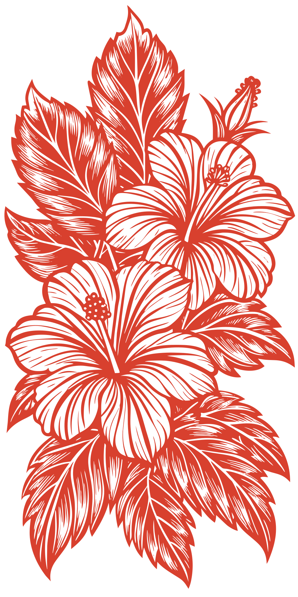 draw detail line art. hibiscus flowers com folhas background, draw detail for coloring page. intrinsic black lines with white background