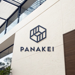 Modern logo for Panakei. A minimalist geometric symbol in the shape of a hexagon with clean lines. Dark logo on light background, featuring a bold, sans-serif font for the company name beneath the symbol. The design is sleek and uncluttered.