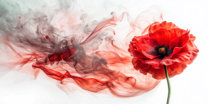 dense smoke Coquelicot on white background